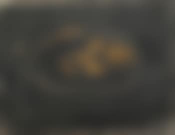 Natura Morta (preview)