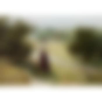 Blackberrying (preview)