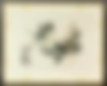 A wisteria branch (preview)