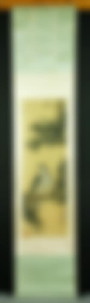 Eagle in a pine tree (preview)