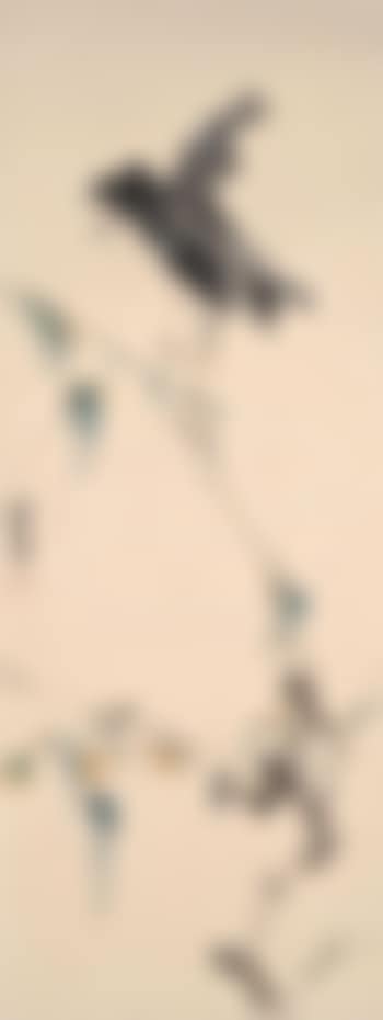 Bird perched on branches (preview)