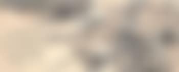 Gnarled pines in a rocky landscape, and a recluse walking in stick visiting a friend (preview)