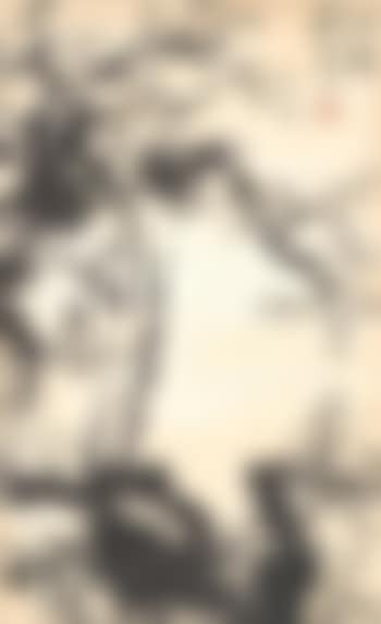 Plum blossoms momei (preview)