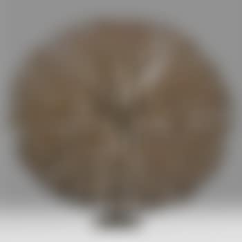 Untitled Sculpture (Bush) (preview)