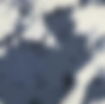 Schweizer Alpen (preview)