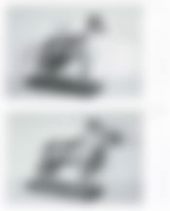 Dog (preview)