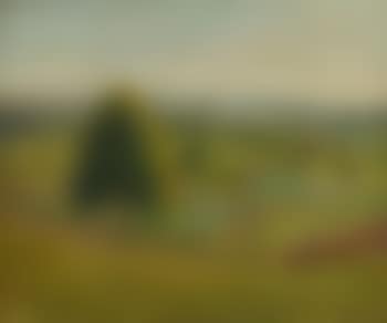Paysage (preview)