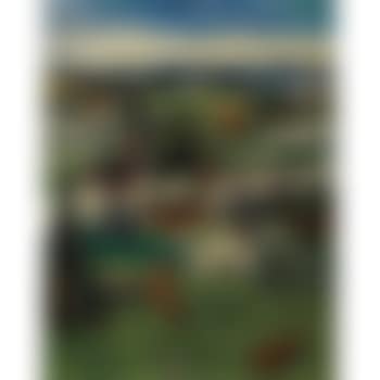 Cows on a Hillside (preview)