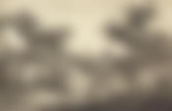 Paysage (preview)