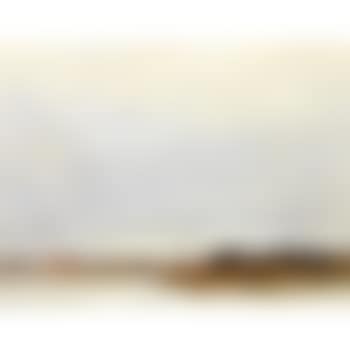 Landscape with low horizon and windmill (preview)