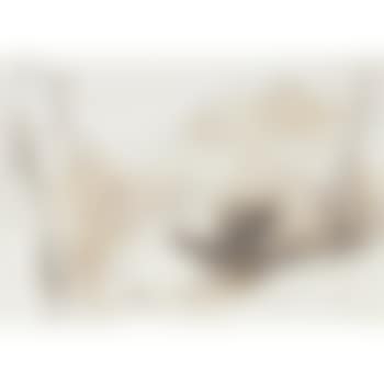 Ceriana (preview)