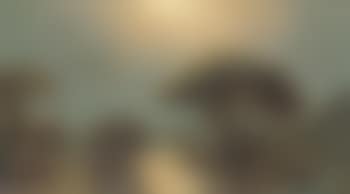 Bayou Landscape (preview)