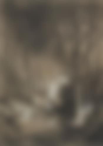 Forest Interior with Pair of Deer (preview)