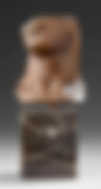 Buste (preview)