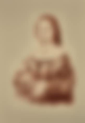 Maddalena Doni (preview)