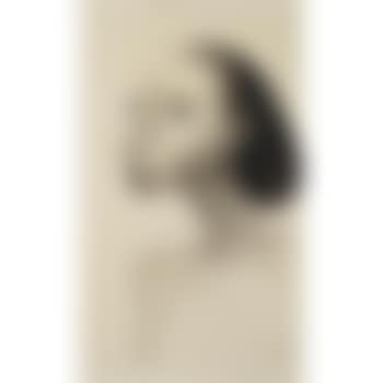 Balinese girl (preview)