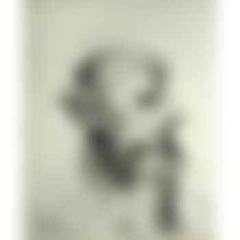 Untitled (Two headed woman) (preview)