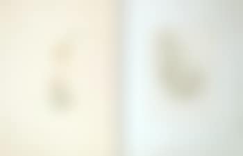 [Untitled] (preview)