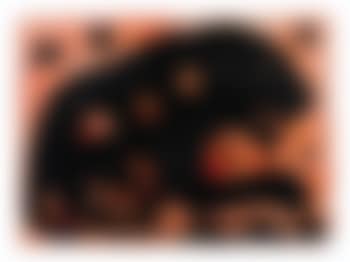 Lion Black (preview)