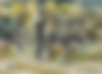 Untitled (preview)