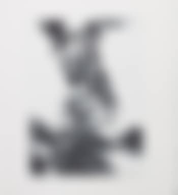 [Untitled] (preview)