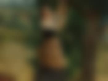 Cherry Picking (preview)