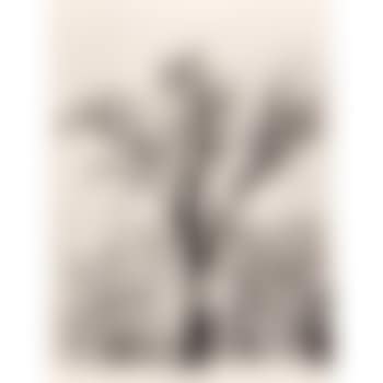 Oaktree, snowstorm (preview)