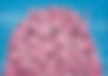 Garbage Hill (preview)