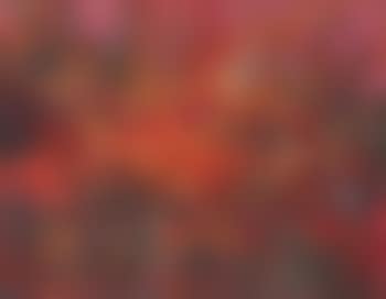 Wildfire (preview)