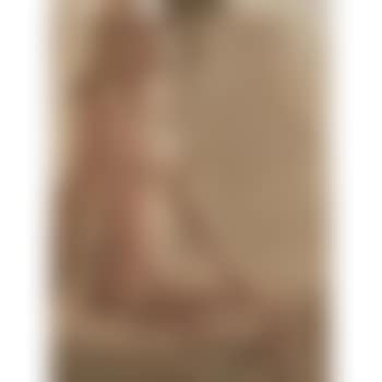 Seated nude (preview)