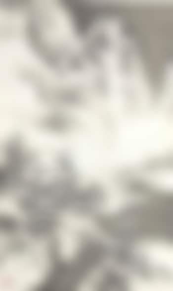 Winter Landscape (preview)