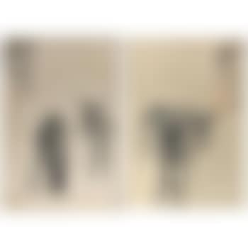 Donkeys (preview)