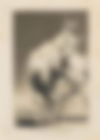 Five plates, from: Los Caprichos (H. 49, 74-75, 77 and 102) (preview)