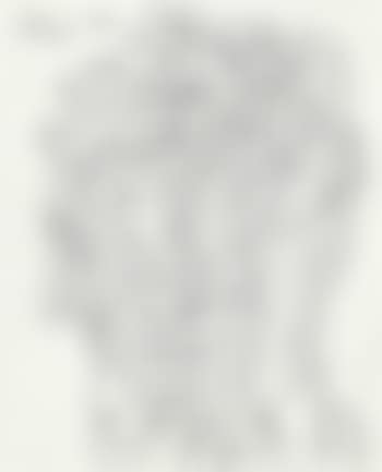 Untitled (Head) (preview)