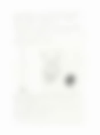 Untitled (Quiz Master) (preview)