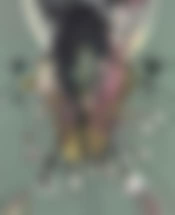 Spread Lily I (preview)