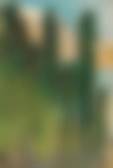 Gardasee mit Blick auf den Monte Baldo (preview)