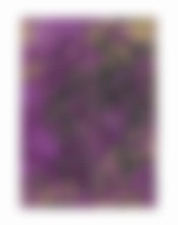 Untitled ("SK-PT") (preview)