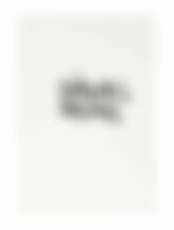 Untitled (anus/stuns) (preview)