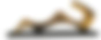 Landscape Form (preview)