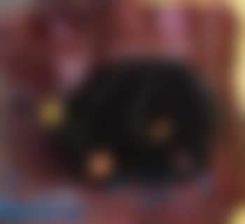Wellspring (preview)