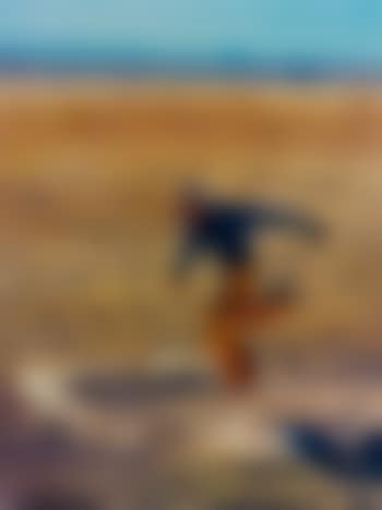 Untitled (Cowboy) (preview)