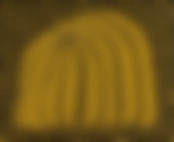 Pumpkin (preview)