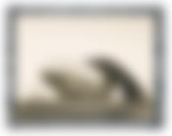 Airship Akron (preview)