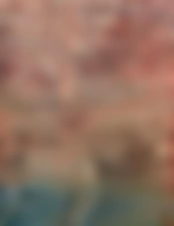 The Agony and the Ecstasy, 2012 (preview)