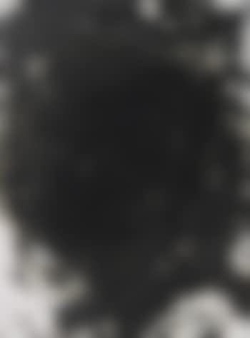 Untitled (JS06198), 2006 (preview)