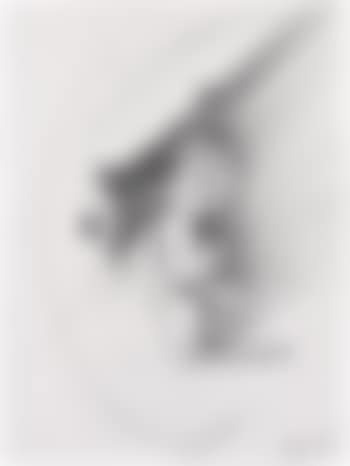 Gun Study D-334, 1993 (preview)