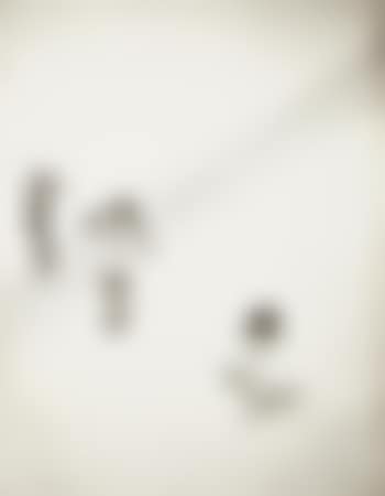 Mein Name ist Hase - ich weiss von nichts (My Name is Hare - I Know Nothing) (preview)