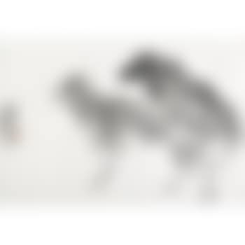 Two dogs (preview)