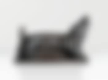 Chien (preview)